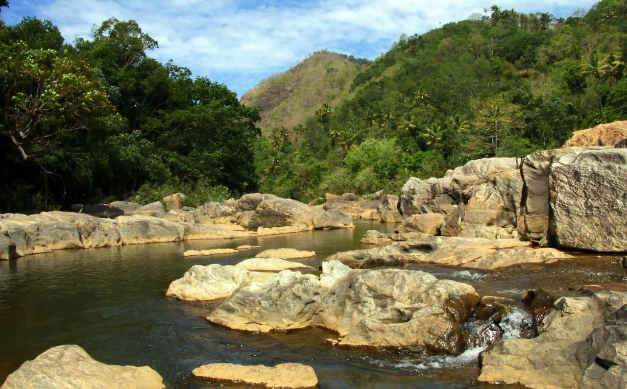 Darpana Homestay Munnar